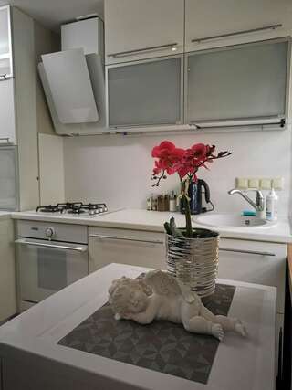 Апартаменты Apartment Orion Клайпеда Апартаменты с 1 спальней-8