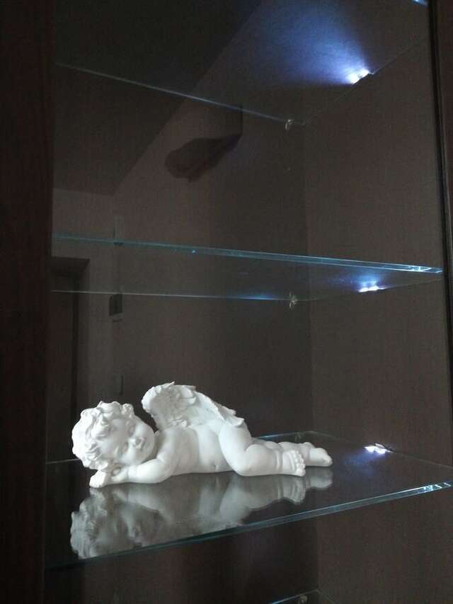 Апартаменты Apartment Orion Клайпеда-29